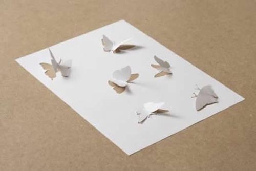 butterflies